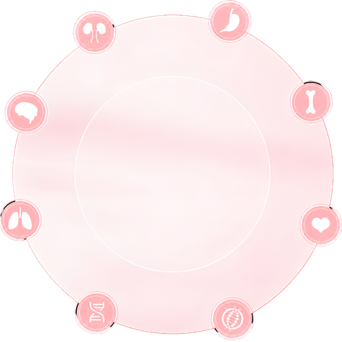 Home Pastel Medical Icon Wheel